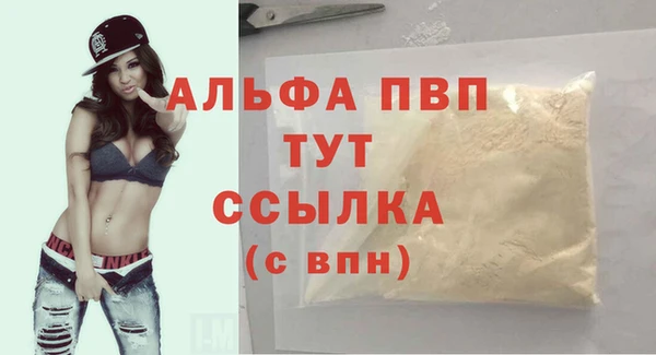 прущие грибы Володарск