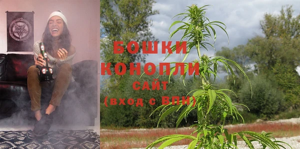 прущие грибы Володарск