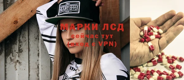apvp Верея