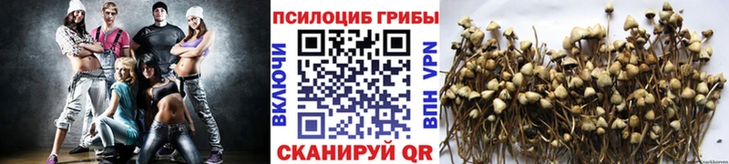 darknet формула  Володарск  KRAKEN как зайти  Галлюциногенные грибы Magic Shrooms  купить наркоту 
