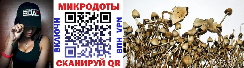 Псилоцибиновые грибы мухоморы Володарск